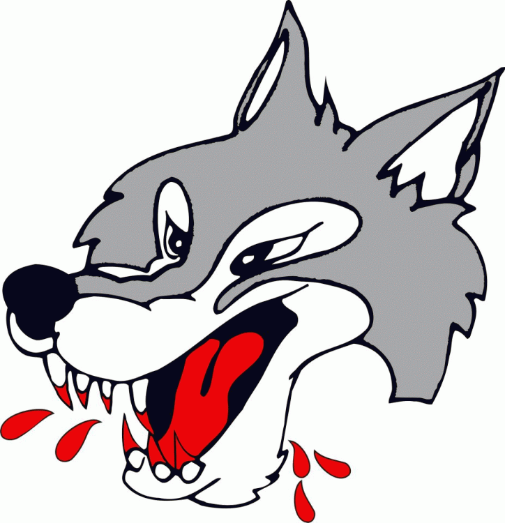 Sudbury Wolves 2009-pres primary logo iron on heat transfer